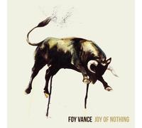 Foy Vance - Joy of Nothing - Vinyl LP (US Import)