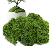 Foyods Fake Moss for Potted Plants, 50g/1.8oz Moss for Outdoor Planters Planter Filler & Green Artificial Mosses for Floral Outdoor Fairy Gardening Decor
