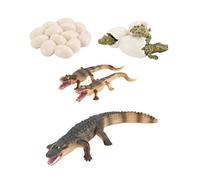 FOYTOKI 1Set Educational Growth Model Realistic Amphibian Plaything for Enhances Animal Cognition and Imagination Design