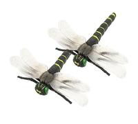 FOYTOKI 2Pcs Simulation Dragonfly Decor Insect Models for Kids Cognitive Playthings Realistic Fake Dragonfly Toys for Learning and Fun Artificial Dragonfly Decorations for Home and Garden