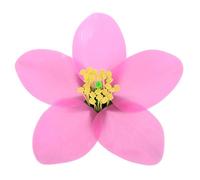 FOYTOKI Peach Blossom Tool for Engaging Biology Lessons Interactive Classroom Educational Resource Portable and Student Friendly Experiment Model