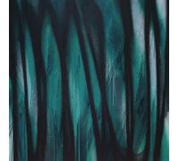 FP-Oner aka Fred P - 5