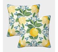 FPAKAKIIE 3D Printed Lemon Square Pillowcases Fruits Square Throw Pillow Garden Cushion Super Soft Pack of 2 for Sofa Couch Bed 50x50cm