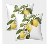 FPAKAKIIE 3D Printed Lemon Throw Pillow Covers Fruits Square Cushion Cover Garden Cushion Super Soft Pack of 2 for Sofa Couch Bed 45x45cm