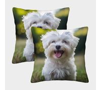 FPAKAKIIE 3D Printed Maltese Dog Throw Pillow Covers Pillow Case Cushion Garden Cushion Super Soft Pack of 2 Home Decor for Sofa Bedroom 45x45cm