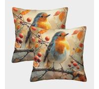 FPAKAKIIE 3D Printed Robin Bird Throw Pillow Covers Square Cushion Cover Decorative Super Soft Pack of 2 for Sofa Couch Bed 50x50cm
