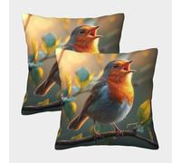 FPAKAKIIE 3D Printed Robin Bird Throw Pillow Covers Square Throw Pillow Garden Cushion Super Soft Pack of 2 for Sofa Couch Bed 50x50cm
