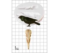 FPC Sugarcraft Raven & Skull Silicone Mould