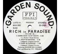 FPI Project - MIX002 12" Rich In Paradise Remix VINYL