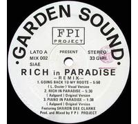 Fpi Project - Rich in Paradise/Back to My Roots Remix 1994 [VINYL]