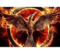 FPTZL 5D Diamond Painting Kits Full Drill Large Full Round Drill DIY The Hunger Games Bird Fire Cross Stitch Embroidery Kits Cross Stitch Kits for Adults 40x50CM
