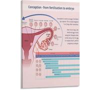 FQHIDMOMX Conception to Fetal Development Timeline Diagram Infographic Poster Educational Canvas Wall-Art Living Room Bedroom Decor(Framed,16x24inch(40x60cm))
