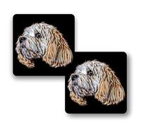 Fractal Artworks Cavachon Coaster Set of 2, Fractal Art Design. Apricot Cavachon 1-2