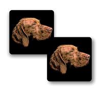 Fractal Artworks Hungarian Vizsla Coaster Set of 2, with Fractal Art Design 1-2