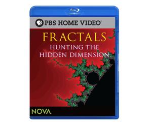 Fractals: Hunting the Hidden Dimension [Blu-ray] [US Import]