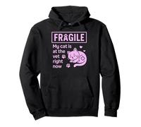 Fragile My Cat Is At The Vet Right Now Cat Mom Pullover Hoodie