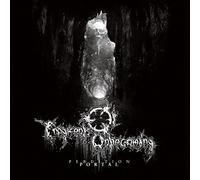 Fragments of Unbecoming Perdition Portal (Vinyl) 12" Album (US IMPORT)