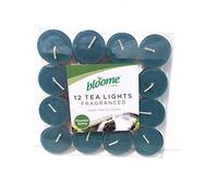 Fragranced Tea Light Candles Assorted 12pk (Mountain Spring)