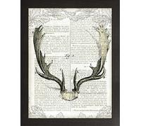 Frame Company Watson Range Regal Antlers on Newsprint II by Sue Schlabach, Frame - A3, Black