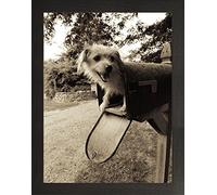 Frame Company Watson Range You ve Got Mail by Jim Dratfield, Frame - A5, Black