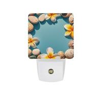 Frame Exotic Floral Pattern Printing Night Lights Plug Into Wall, LED Nightlights Auto On/Off Dusk to Dawn Sensor, Energy Efficient Night Lamp Soft Glow for Hallway Bedroom Bathroom Kitchen, 0.5W