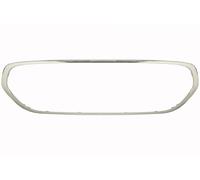 Frame grille bumper fits: MINI F55, F56, MINI F57 11.13-