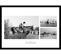 Framed Arkle Montage Horse Racing Photo Memorabilia