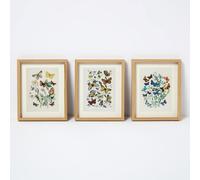Framed Butterflies Wall Art, 20 x 25cm, Set of 3