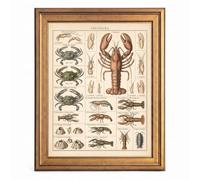 Framed Canvas Wall Art Vintage Crustaceans Chart Tan and Terracotta Lobster Crab Canvas Print Poster Gold Frame Wall Decor for Office Living Room Coastal Prints, Ocean Art - Inch 8x10