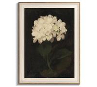Framed Flower Wall Art, Vintage White Hydrangea Still Life Floral Art Prints, Moody Vintage Canvas Oil Painting, Antique Botanical Floral Wall Decor Pictures for Bedroom, Kitchen, Shelf, Bathroom Wall