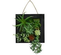 Framed Foliage - This Framed Foliage Is A Gorgeous Way To Bring A Sense Of The Outdoors Into Your Garden Or Home - Great For Adding A Stylish Touch To Your Decor