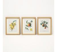 HOMESCAPES Framed Wall Art Vintage Fruit Wall Art Prints Set of 3, Botanical Kitchen Wall Decor, 20 x 25cm
