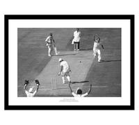 Framed Ian Botham Egbaston 1981 Ashes Series Cricket Photo Memorabilia