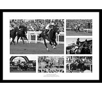 Framed Legends of Flat Horse Racing Photo Memorabilia