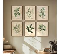 Framed Sage Green Botanical Wall Art for Kitchen, Set of 6 Rustic Herb Canvas Prints Artwork for Modern Farmhouse Walls, Herbs Spices Plant Leaf Pictures for Dining Room Living Room Bedroom Wall Decor