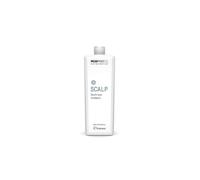 Framesi Framesi Morphosis Destress Shampoo