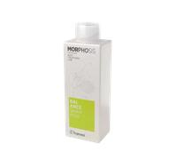 Framesi New Morphosis Hair Treatment Line Balance Shampoo 250 ml for Skin Fat