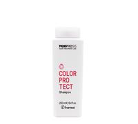 Framesi Morphosis Color Protect Shampoo 250ml - shampoo for colored hair