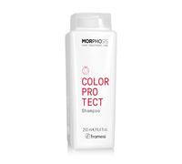 Framesi | New Morphosis Hair Treatment Line | Color Protect Shampoo 250ml