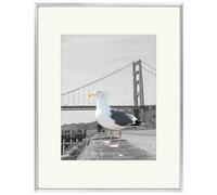 Frametory, 16x20 Aluminum Photo Frame with Ivory Color Mat for 11x14 Picture & Real Glass, Metal Picture Frame Collection (Silver, 1-Pack)