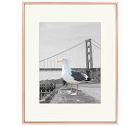 Frametory, 16x20 Metal Picture Frame Collection, Aluminum Photo Frame with Ivory Color Mat for 11x14 Picture & Real Glass (Rose Gold)