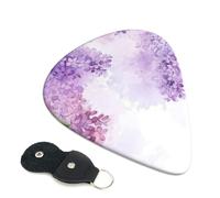 Framing Lilac Flowers in Blossom Guitar Plectrums, 6 Guitar Plectrums, Printed on both sides for Electric Guitar Bass Ukulele (0.46 mm 0.71 mm 0.96 mm)