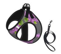 Framing Lilac Flowers in Blossom Print Step in Dog Harness and Leash Set,Adjustable Reflective Harness for Small Dogs Cats
