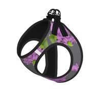 Framing Lilac Flowers in Blossom Print Step in Dog Harness and Leash Set,Adjustable Reflective Harness for Small Dogs Cats