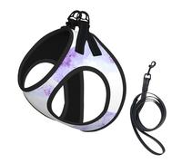 Framing Lilac Flowers in Blossom Small Pet Harness Vest - Full Print Design, Adjustable and Reflective for Safety, Suitable for Small Cats and Dogs Pet leash vest