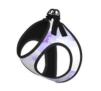 Framing Lilac Flowers in Blossom Small Pet Harness Vest - Full Print Design, Adjustable and Reflective for Safety, Suitable for Small Cats and Dogs Pet leash vest