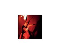 FRAN LOBO: BURNING IT FEELS LIKE - CD BRAND NEW