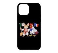 France Algeria Flag Algerian Roots Proud French Heritage Case for iPhone 12 mini