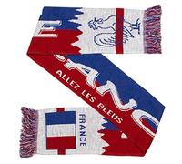 France Champions Du Monde Soccer Knit Scarf (Classic)