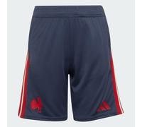 France Rugby Gym Shorts Kids